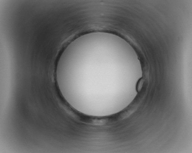 X0000114640450200910200944