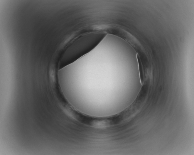 X0000114640452200910200944