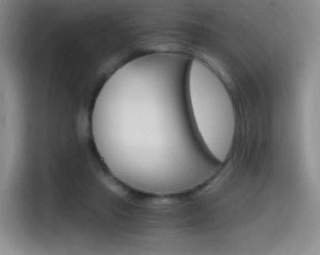 X0000114640453200910200944