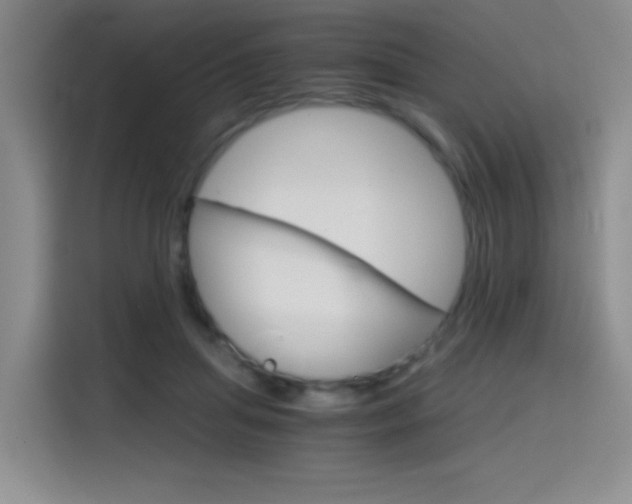 X0000114640455200910200944