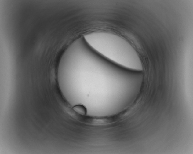 X0000114640457200910200944