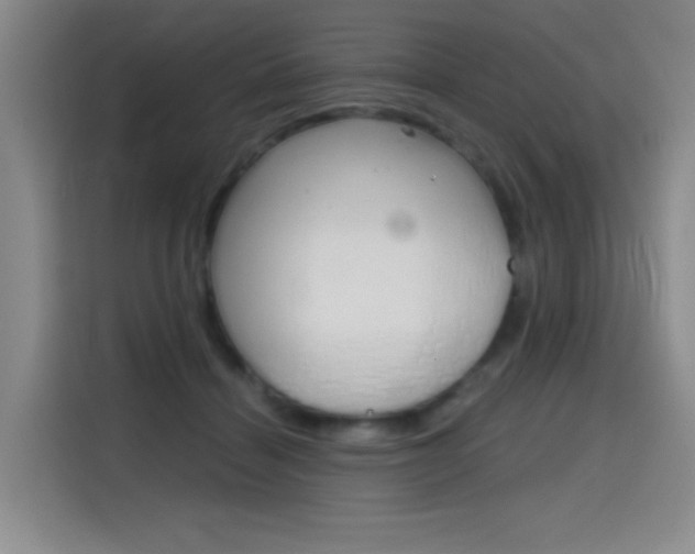 X0000114640460200910200944