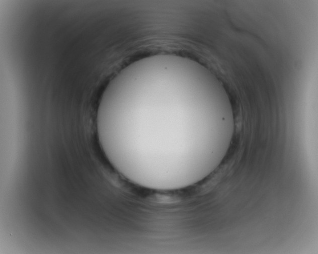X0000114640464200910200944