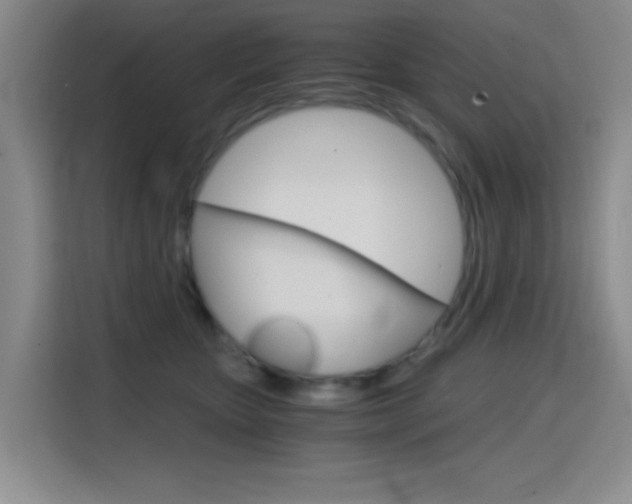 X0000114640467200910200944
