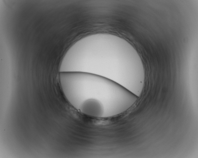 X0000114640471200910200944