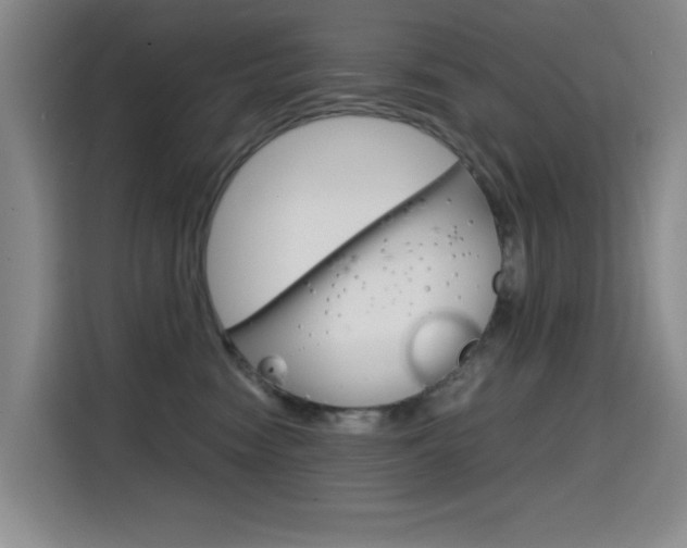 X0000114640474200910200944