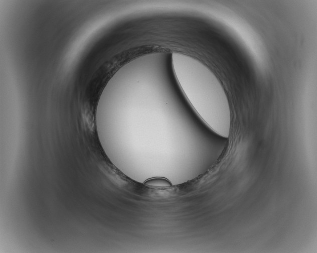 X0000114640479200910200944
