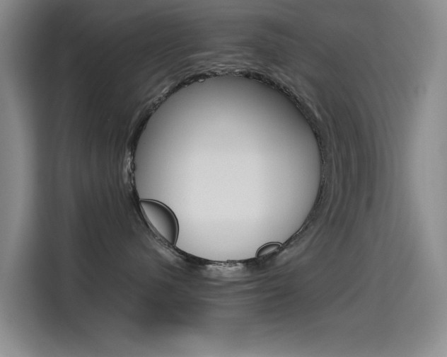 X0000114640480200910200944