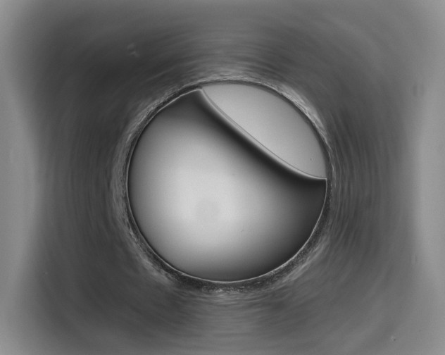 X0000114640481200910200944