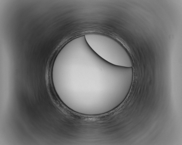 X0000114640482200910200944