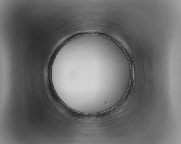 X0000114640483200910200944