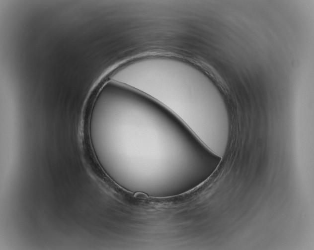 X0000114640484200910200944