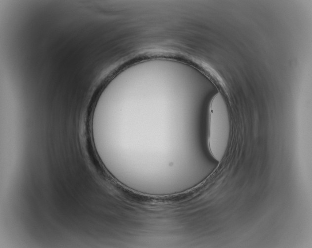 X0000114640487200910200944