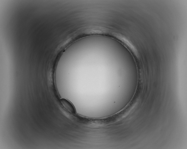 X0000114640489200910200944