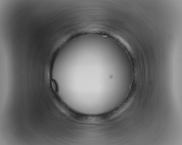 X0000114640493200910200943