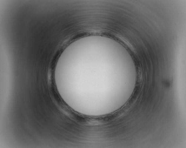 X0000114640494200910200943