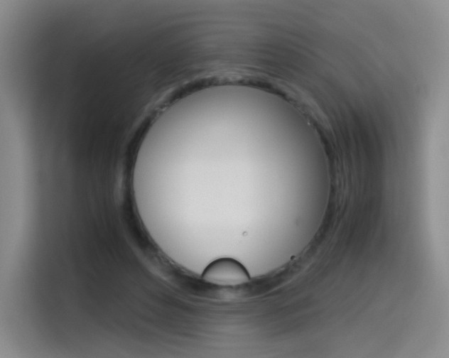 X0000114640496200910200943