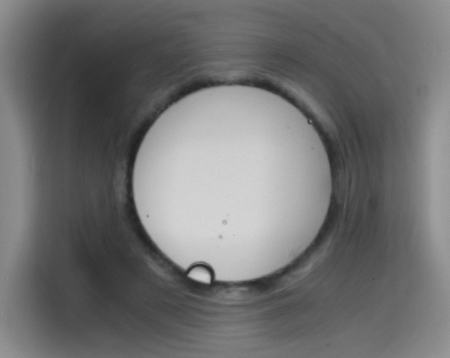 X0000114640497200910200943
