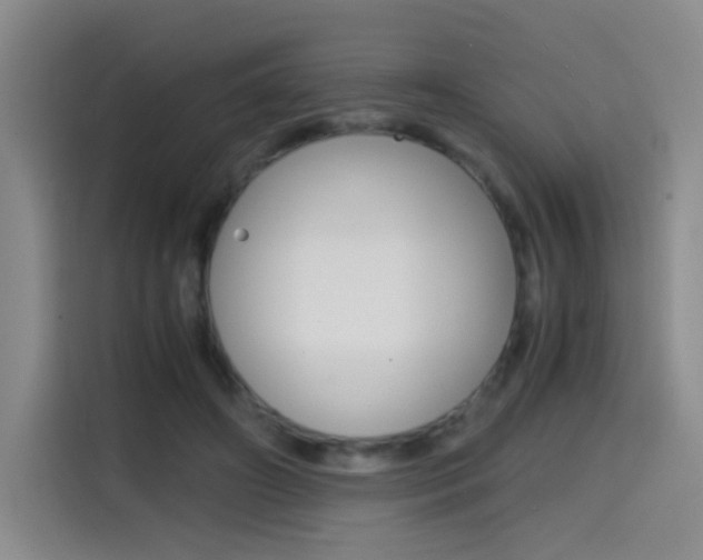 X0000114640498200910200943