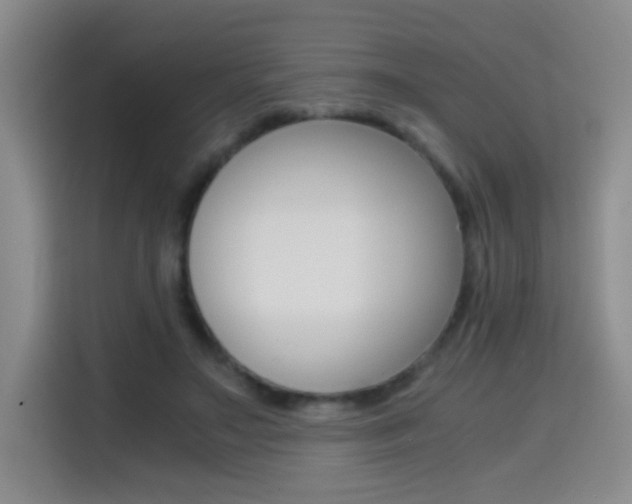 X0000114640499200910200943