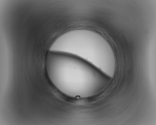 X0000114640505200910200943
