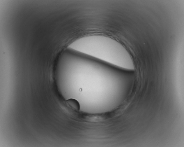 X0000114640512200910200943