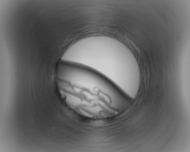 X0000114640513200910200943
