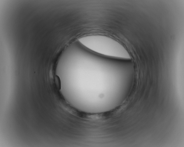 X0000114640516200910200943