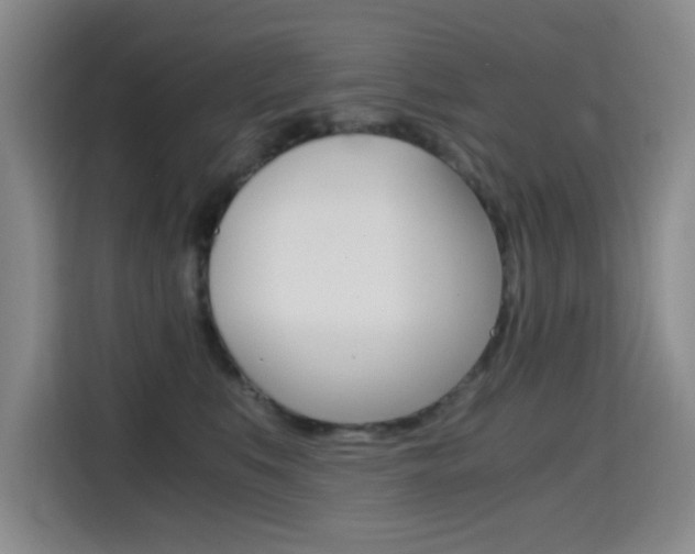 X0000114640519200910200943