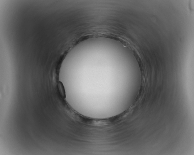 X0000114640520200910200943