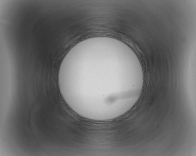 X0000114640521200910200943