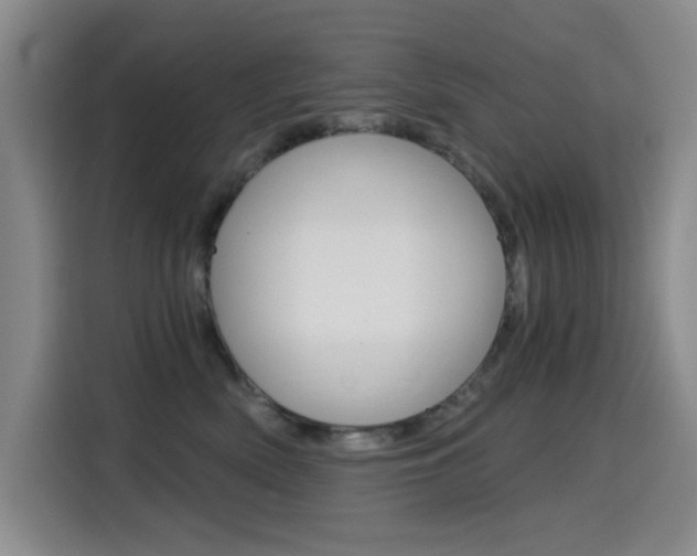 X0000114640522200910200943