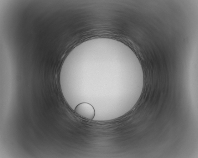 X0000114640524200910200943