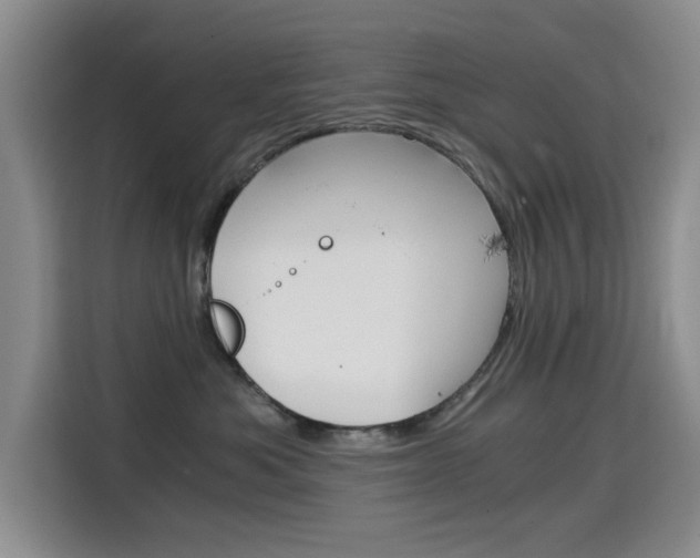 X0000114640525200910200943