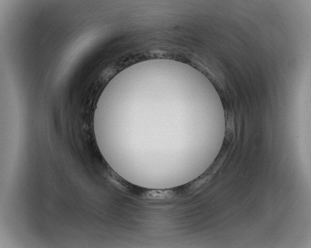 X0000114640526200910200943