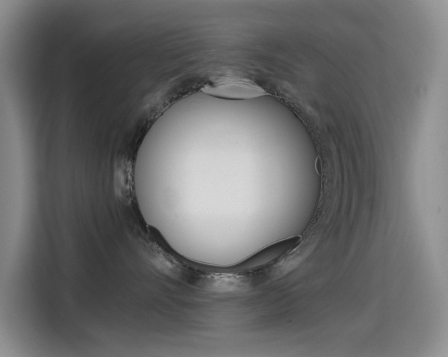 X0000114640528200910200943