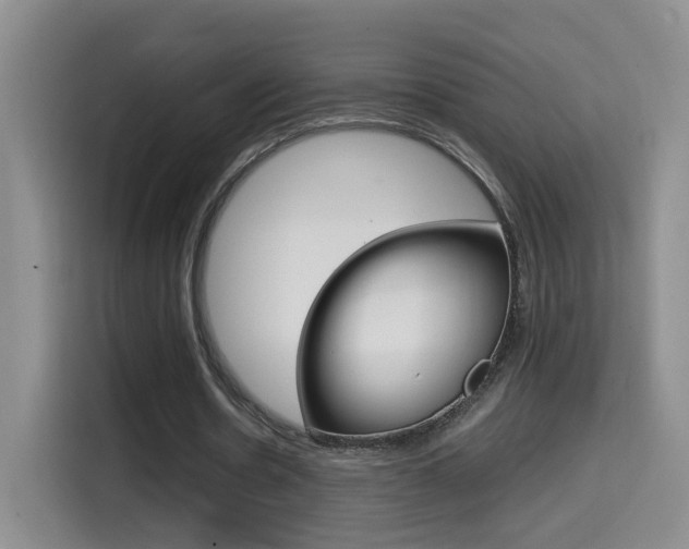X0000114640530200910200942