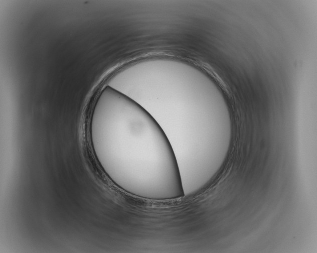 X0000114640531200910200942