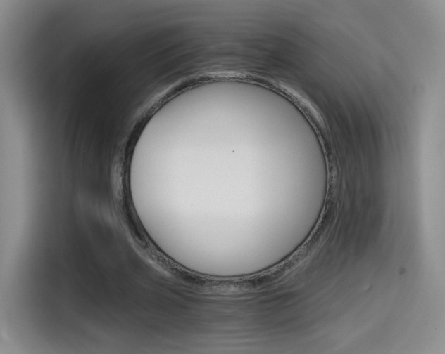 X0000114640533200910200942
