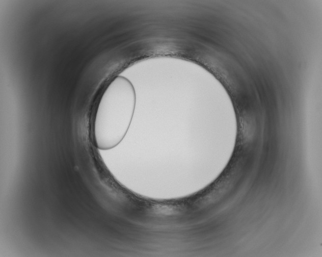 X0000114640534200910200942