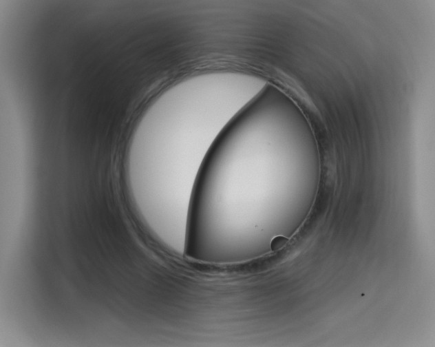X0000114640538200910200943