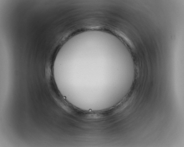 X0000114640541200910200943
