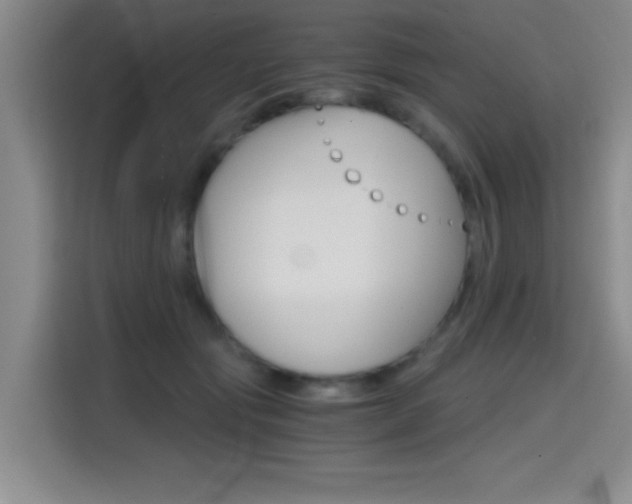 X0000114640557200910200943