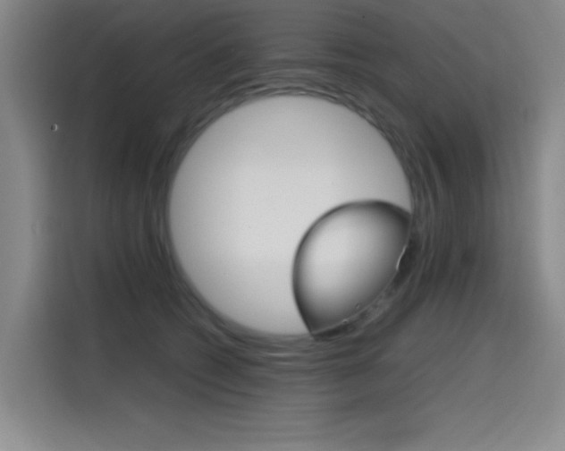 X0000114640562200910200943