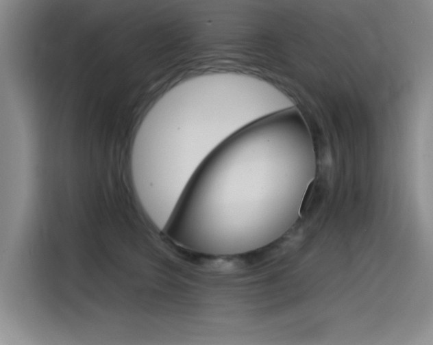 X0000114640566200910200943