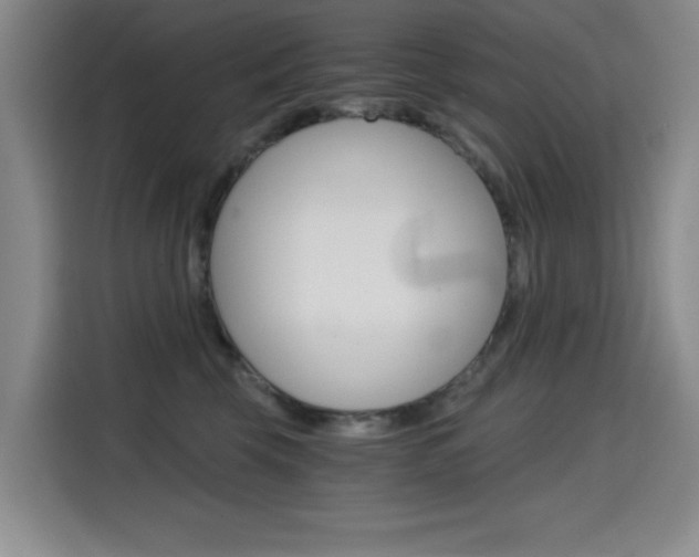X0000114640569200910200943
