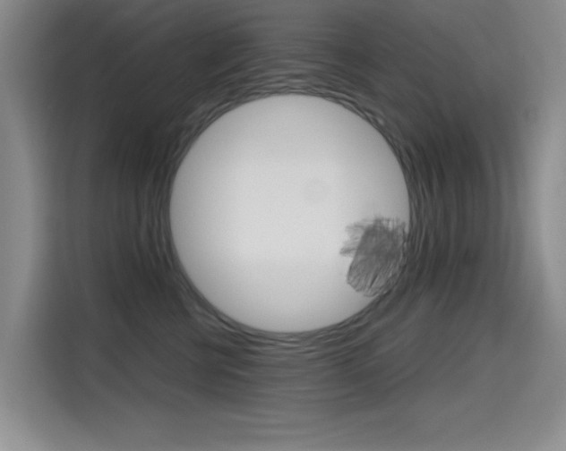 X0000114640570200910200943