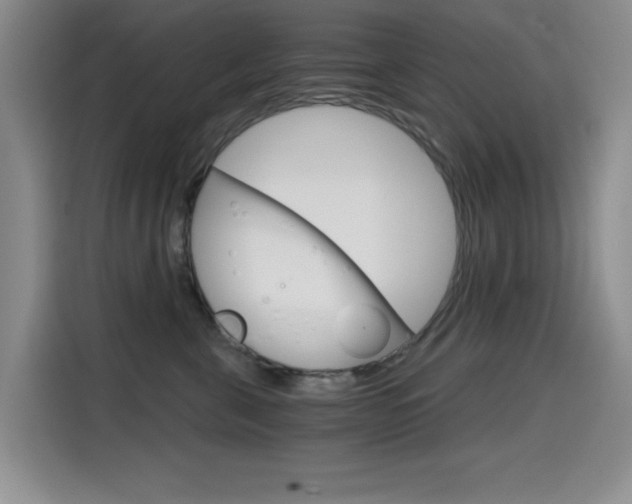 X0000114640571200910200943