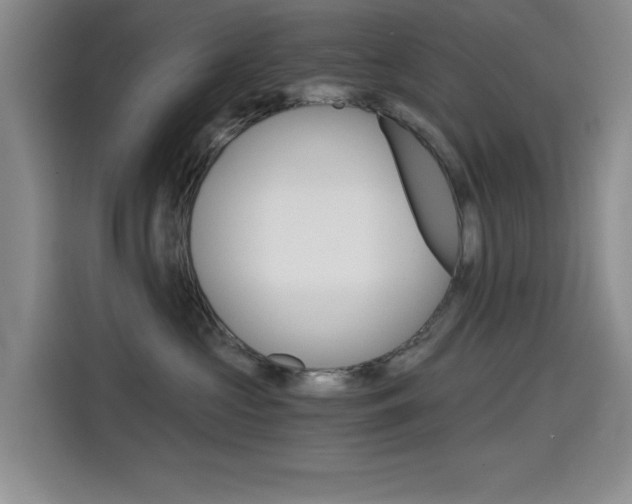 X0000114640573200910200943