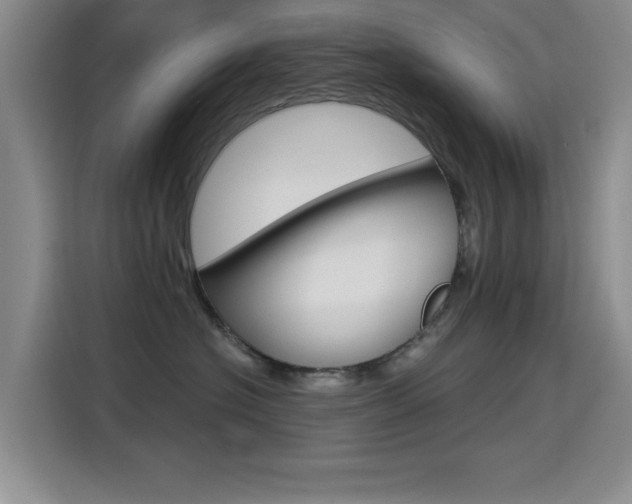 X0000114640574200910200943